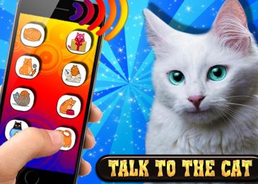 Top 7 app, phần mềm nói chuyện với chó mèo miễn phí tốt nhất 2023